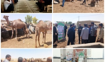 اردوی جهادی در روستای کوه سفید استان قم برگزار شد