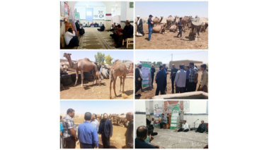 اردوی جهادی در روستای کوه سفید استان قم برگزار شد