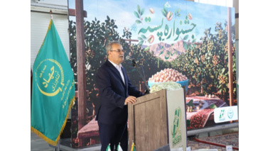 رقم جدید پسته «حسینی»؛ گامی تازه در توسعه باغ‌های پسته و افزایش بهره‌وری در استان قم