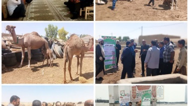 اردوی جهادی در روستای کوه سفید استان قم برگزار شد