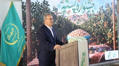 رقم جدید پسته «حسینی»؛ گامی تازه در توسعه باغ‌های پسته و افزایش بهره‌وری در استان قم